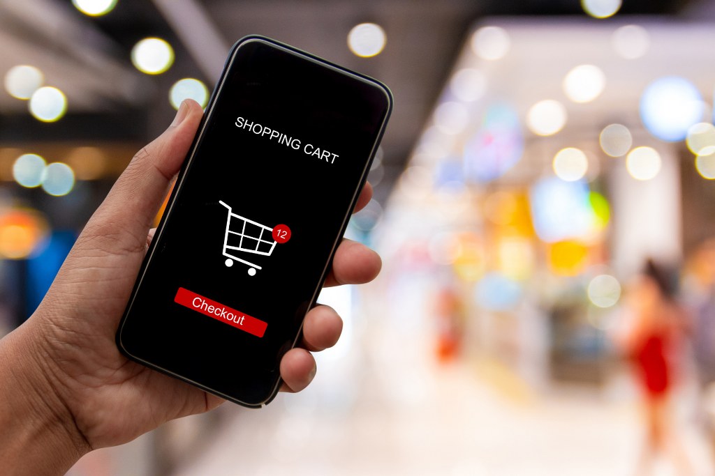 Shopping Cart and Checkout on Smartphone Screen.