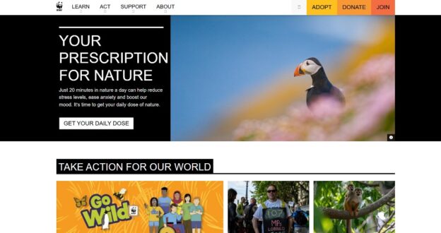 33 Inspiring Drupal Website Design Examples (2025)