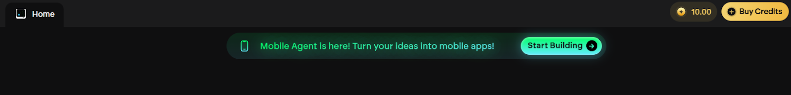 Emergent dashboard: Buy Credits button to extend usage