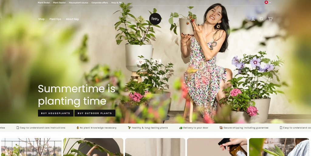 Feey's website homepage.
