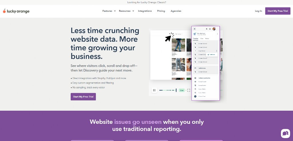 Lucky Orange's website.