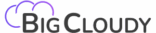 BigCloudy Logo