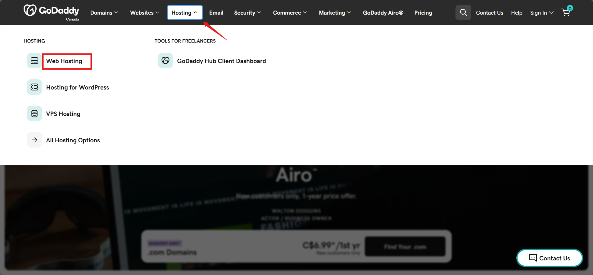screenshot of Godaddy 