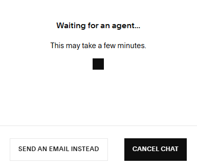 screenshot of Squarespace Livechat start window
