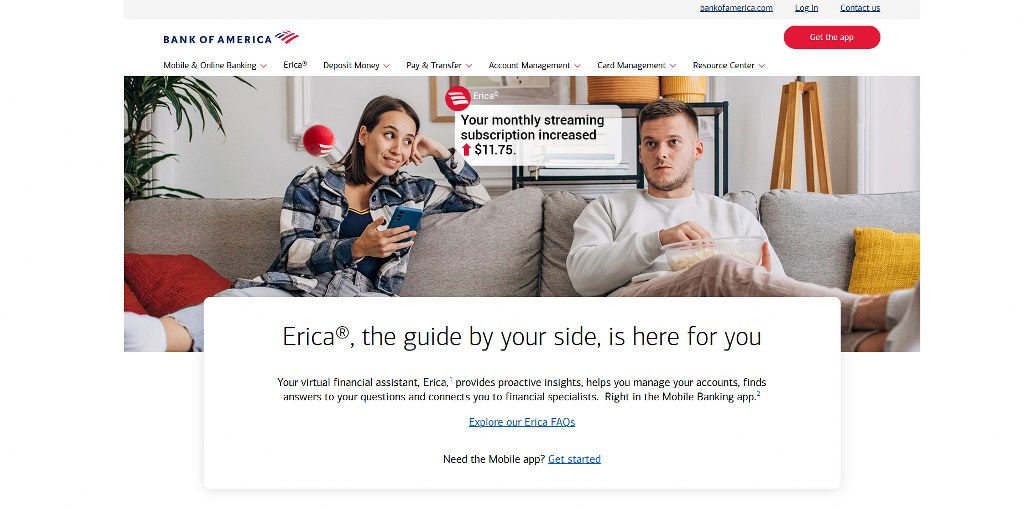 Erica's website.