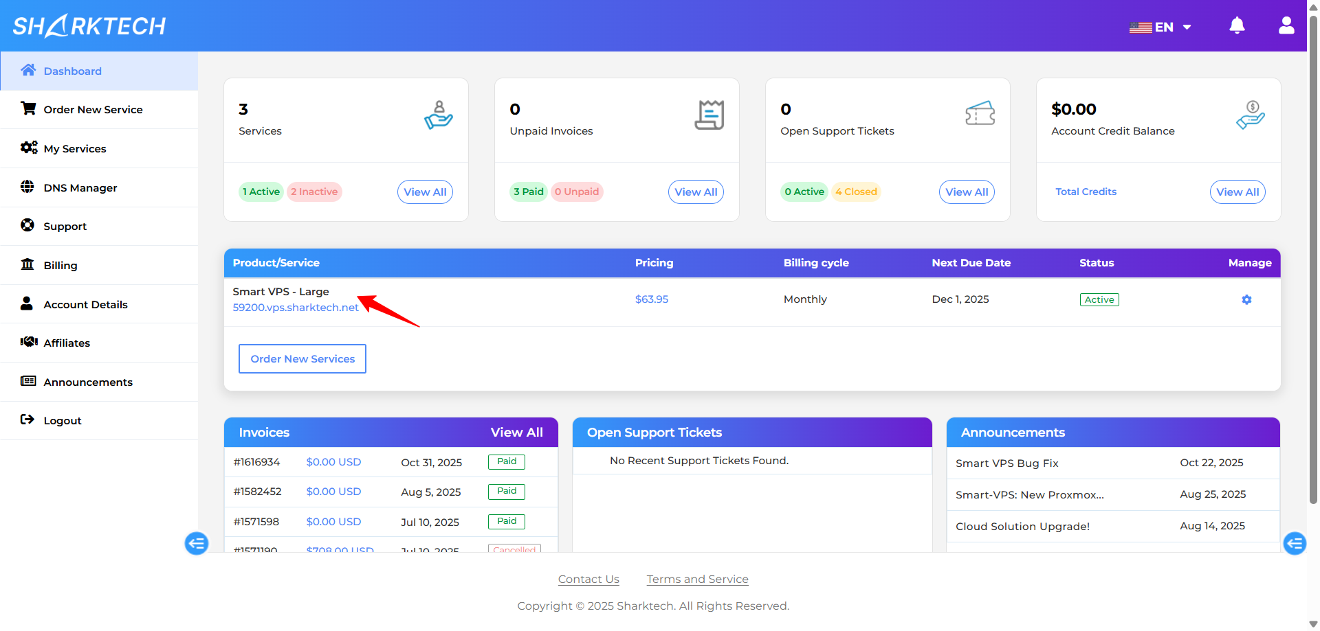 screenshot of hosting plan in Services tab
