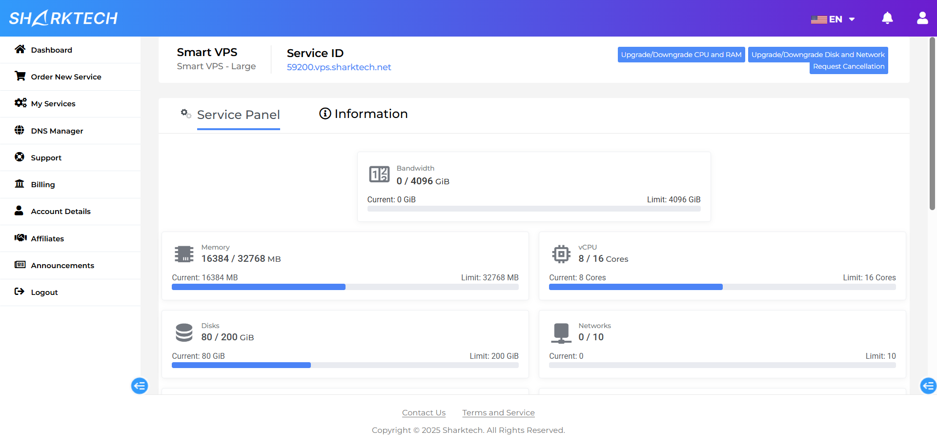 screenshot of Service panel