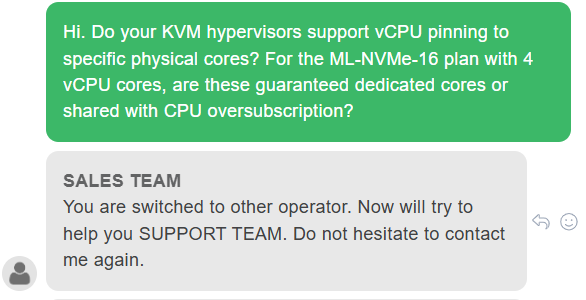 Screenshot of technical question asked in FASTVPS live chat