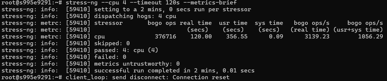CPU Stress Test result