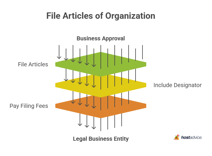 Professional Limited Liability Company: What Is It + Use Cases