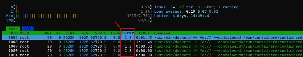 Htop view highlighting Docker container memory usage