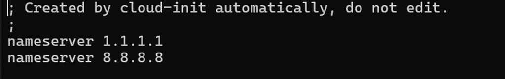 Linux resolv.conf file showing Cloudflare and Google DNS nameserver configuration on VPS