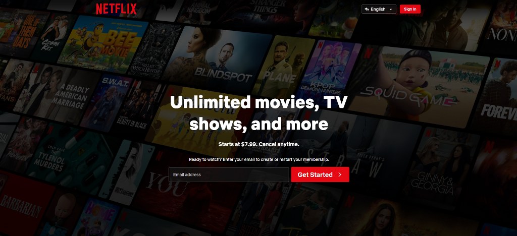 Netflix's homepage.