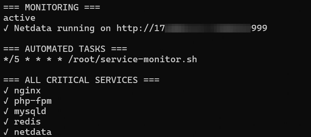 VPS monitoring output showing Netdata status, cron jobs, and critical services running