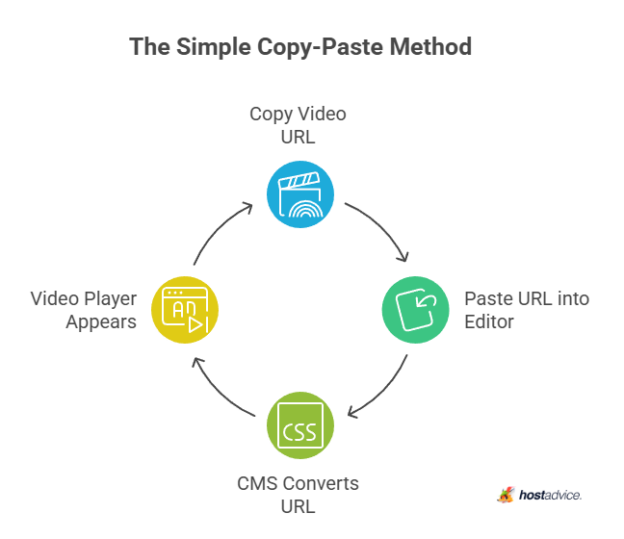 Video Paste How to Embed a Video on Your Website (YouTube & More)