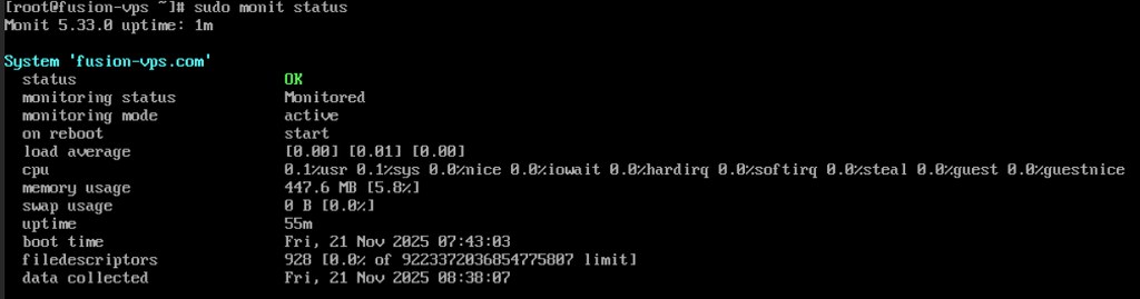 Monit status screen.