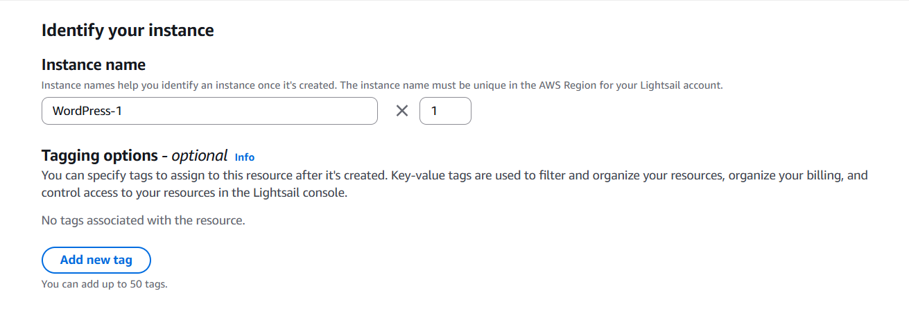 choosing instance name