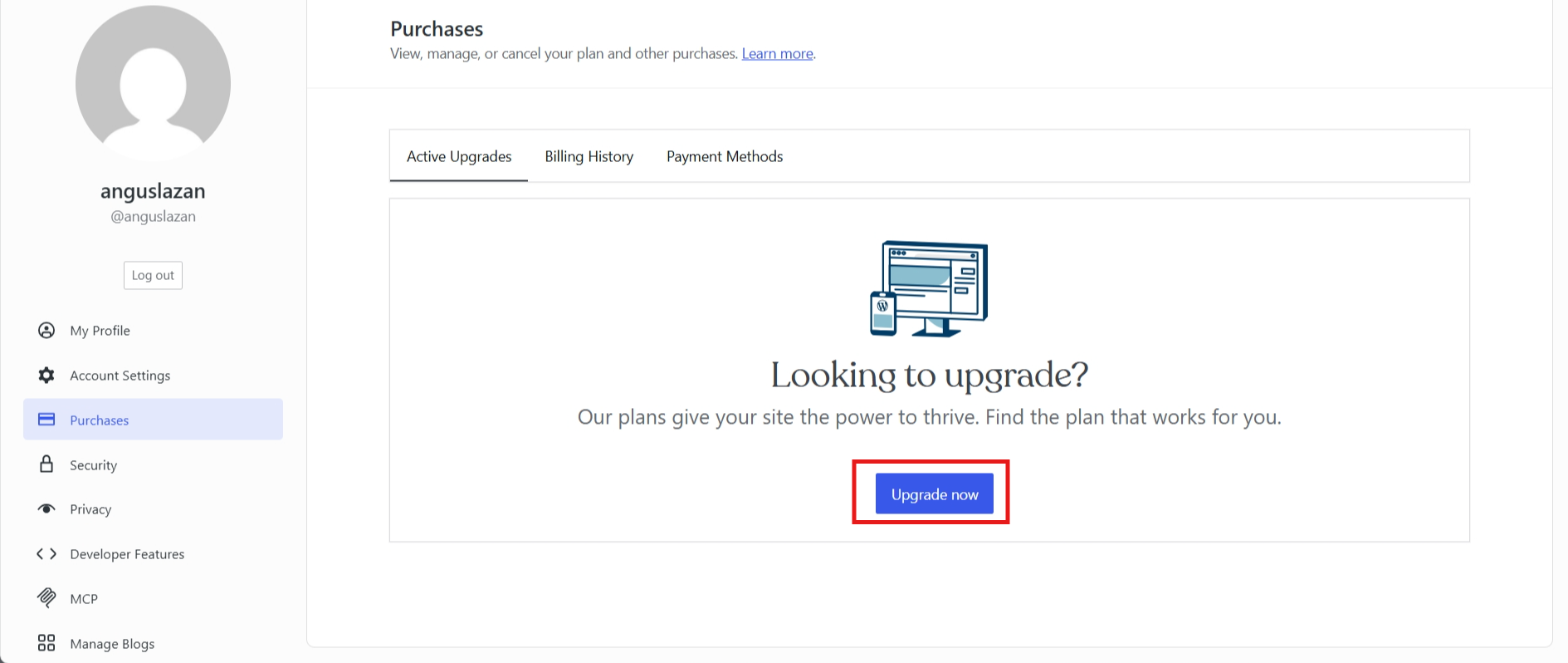 screenshot of Purchases tab