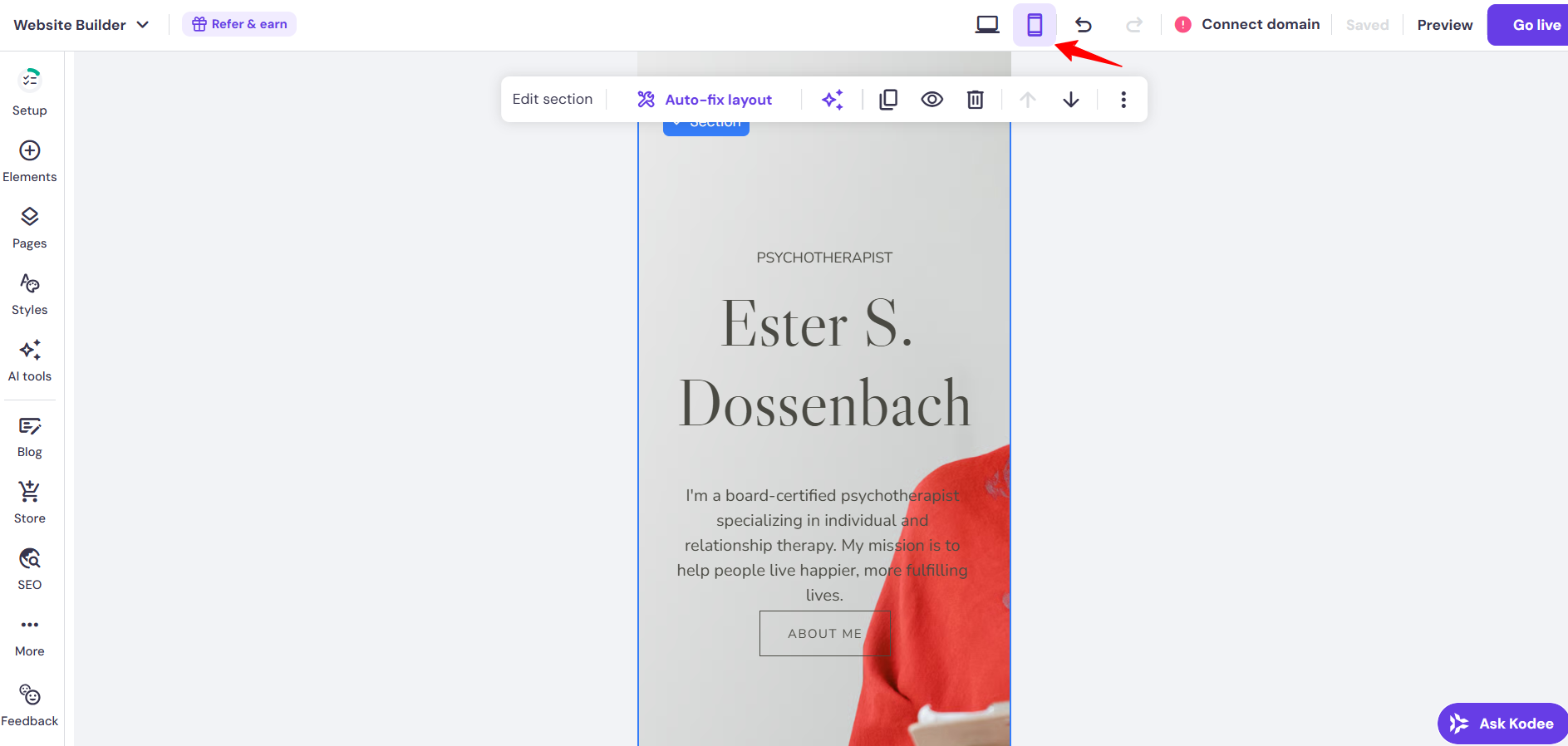 screenshot of Hostinger 