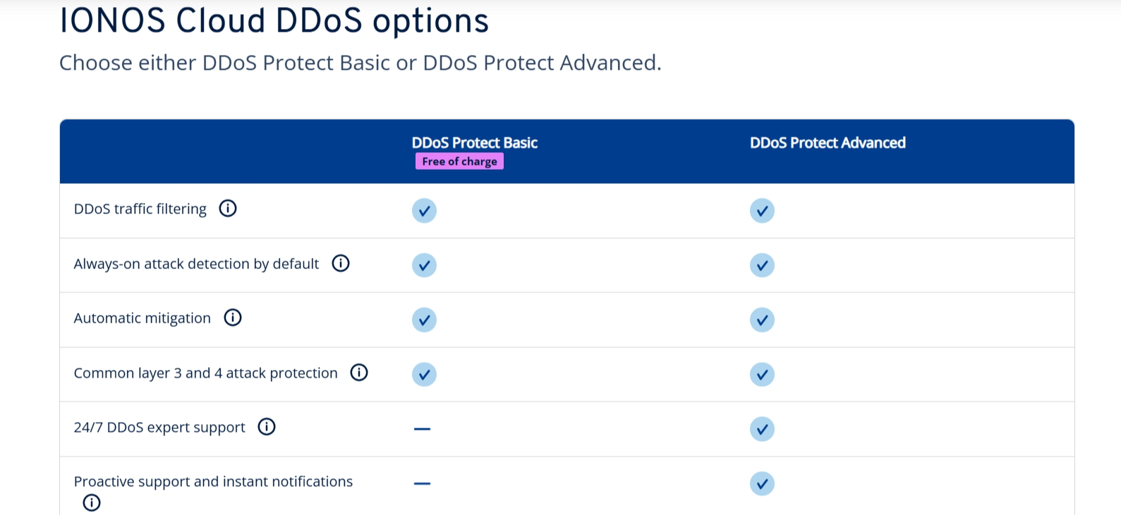 IONOS Privacy and Security Features