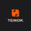 Temok Technologies Logo