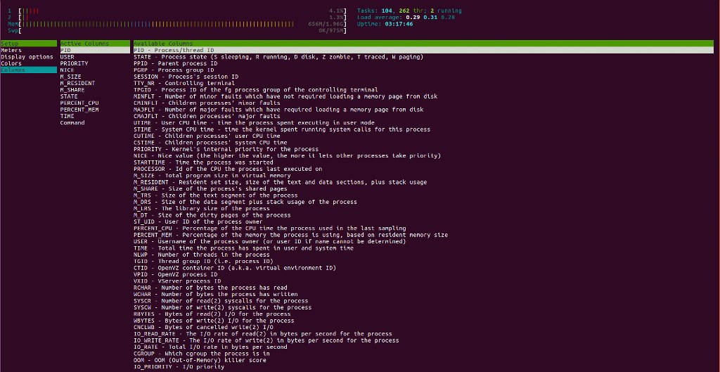 Adding columns on htop.