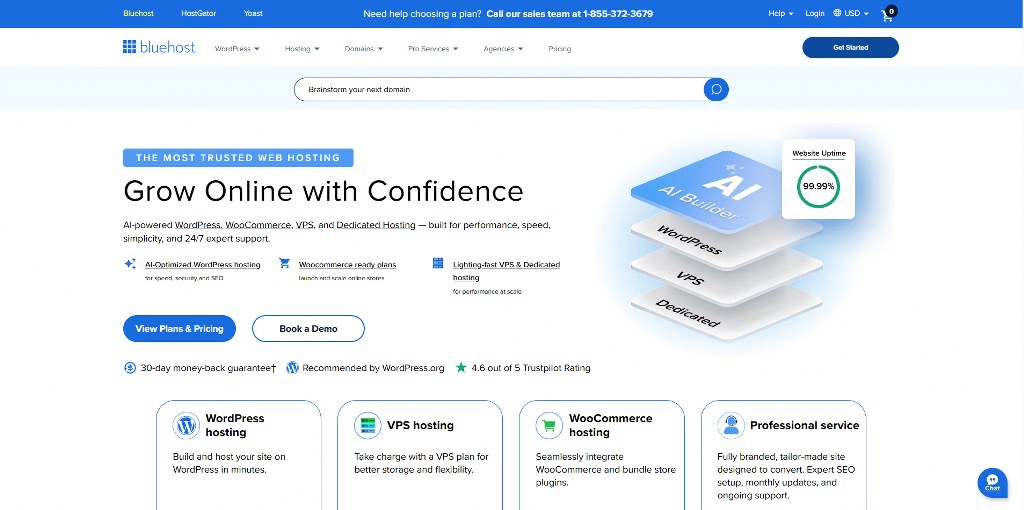 Bluehost's website.