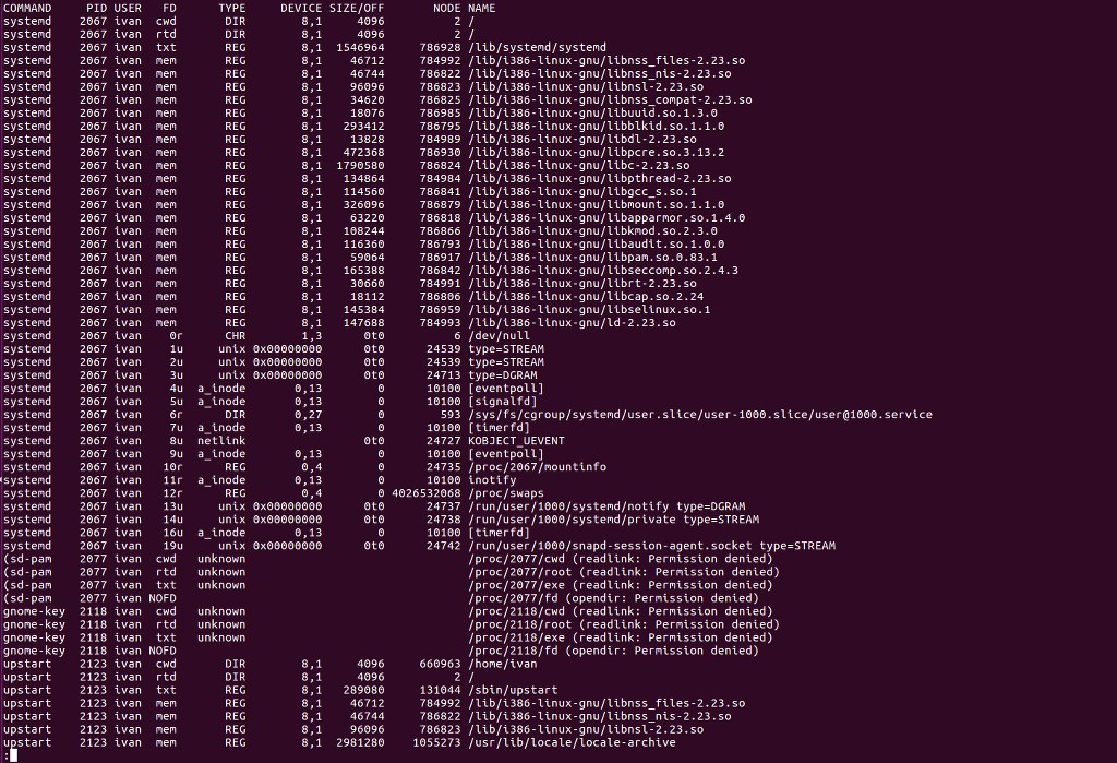 Displaying all open files and descriptors for user ivan using lsof.