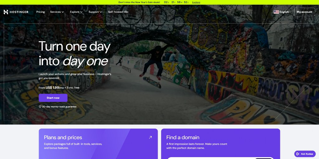 Hostinger's website_3