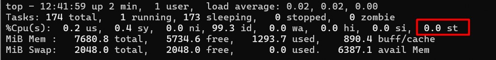 Linux top output showing 0.0% CPU steal time