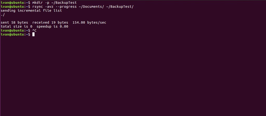 Running a manual rsync test.