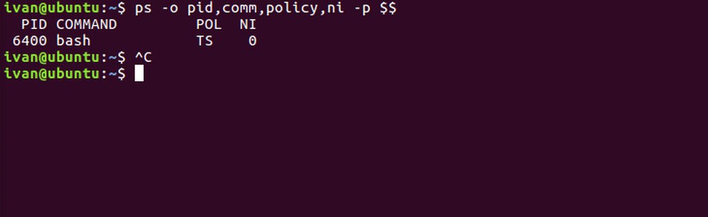 Showing the scheduling policy and niceness of the current bash process.