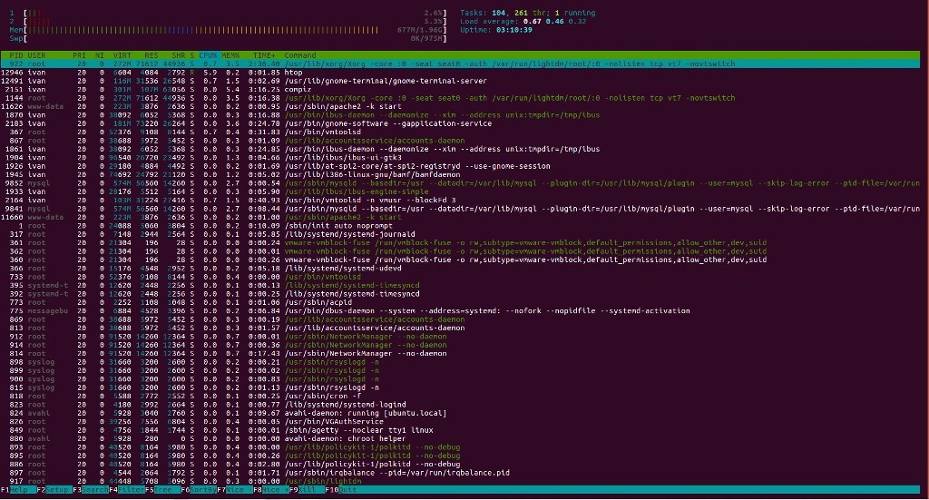 Using htop and iotop on Linux VPS (w/ Examples)