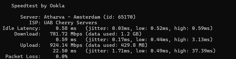 screenshot of CherryServers Network Performance test results