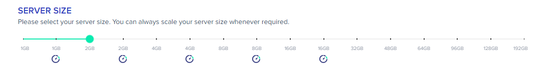 screenshot of 'Server size' selection