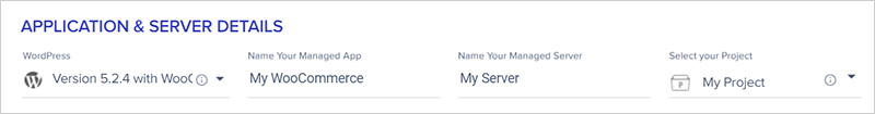 screenshot of Cloudways 'Applications & Server Details' tab