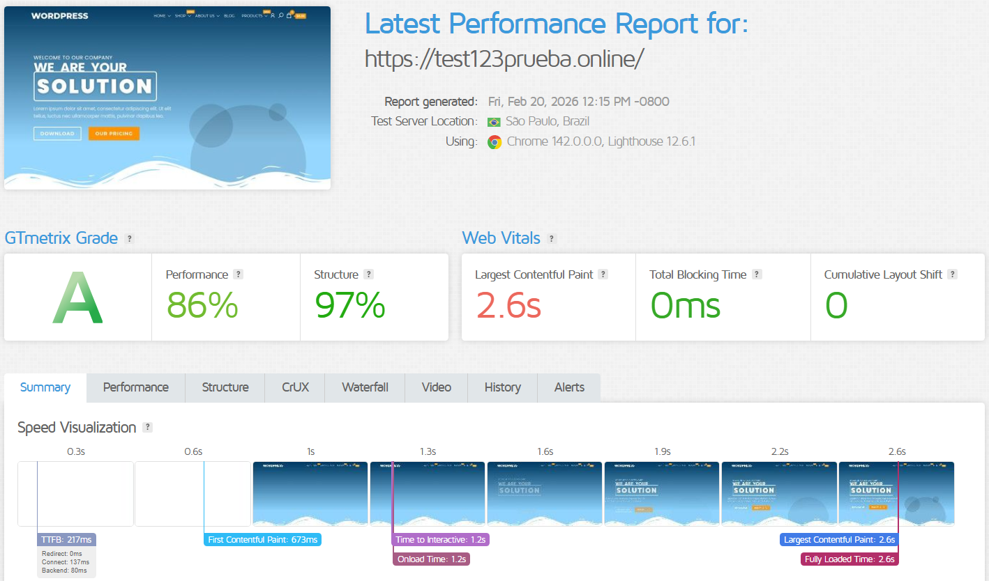 screenshot of DonWeb's performance report