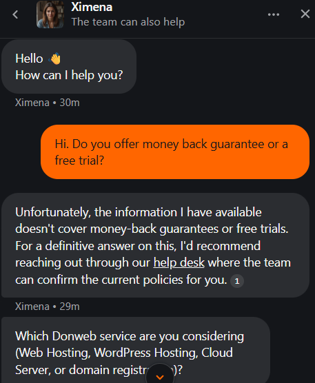 screenshot of DonWeb Livechat conversation