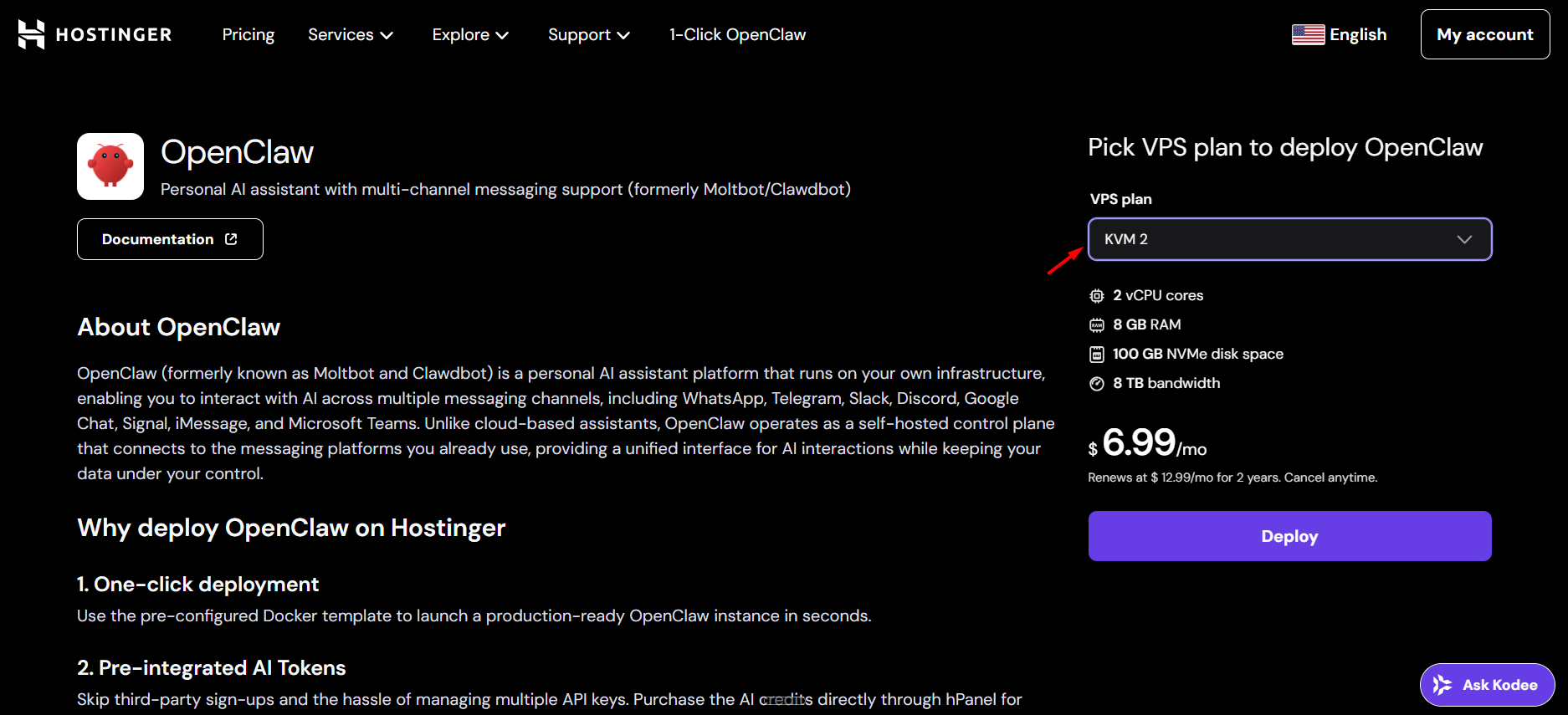 screenshot of Hostinger VPS hosting plans