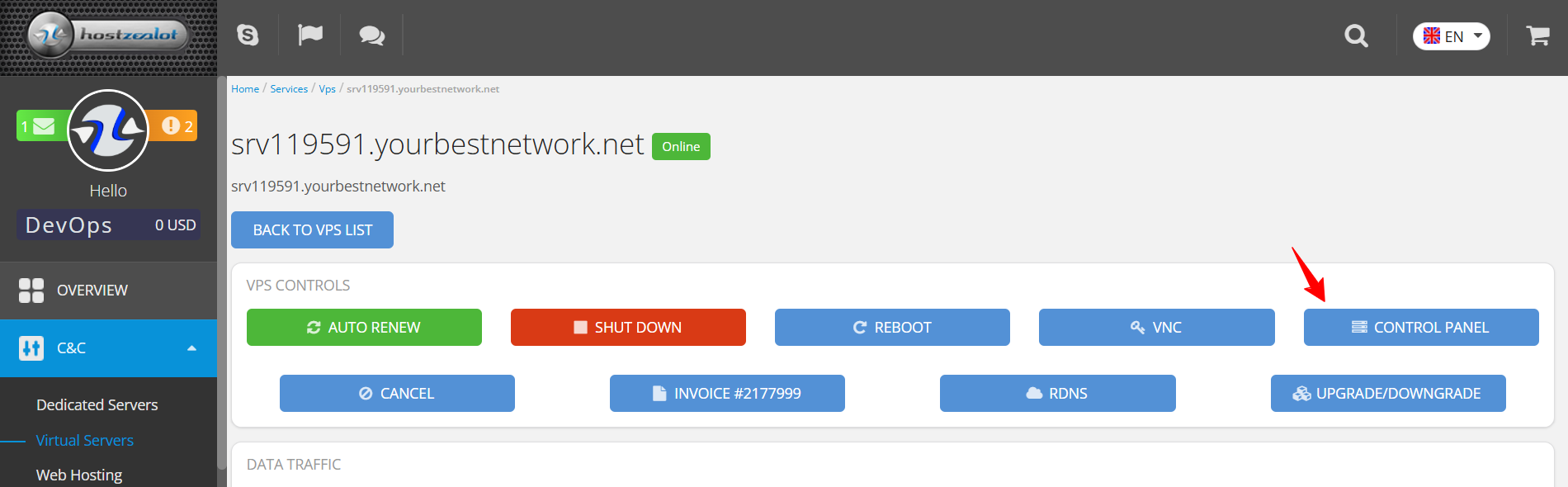 screenshot of HostZealot dashboard 'Virtual Servers' tab 'Control Panel' button