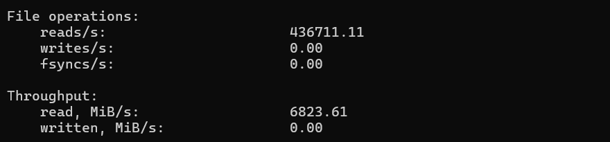 screenshot of Disk I/O Performance Random-Read Test result