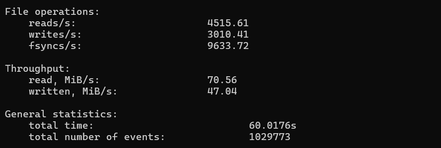 screenshot of Disk I/O Performance Random Read/Write Test result