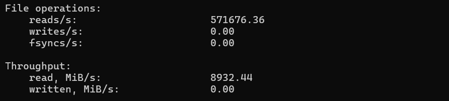 screenshot of Disk I/O Performance Sequential read Test result