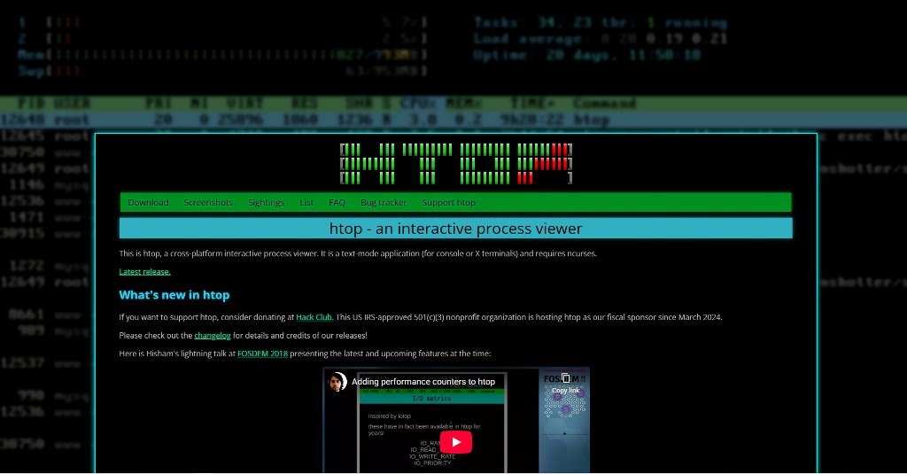 htop's website.