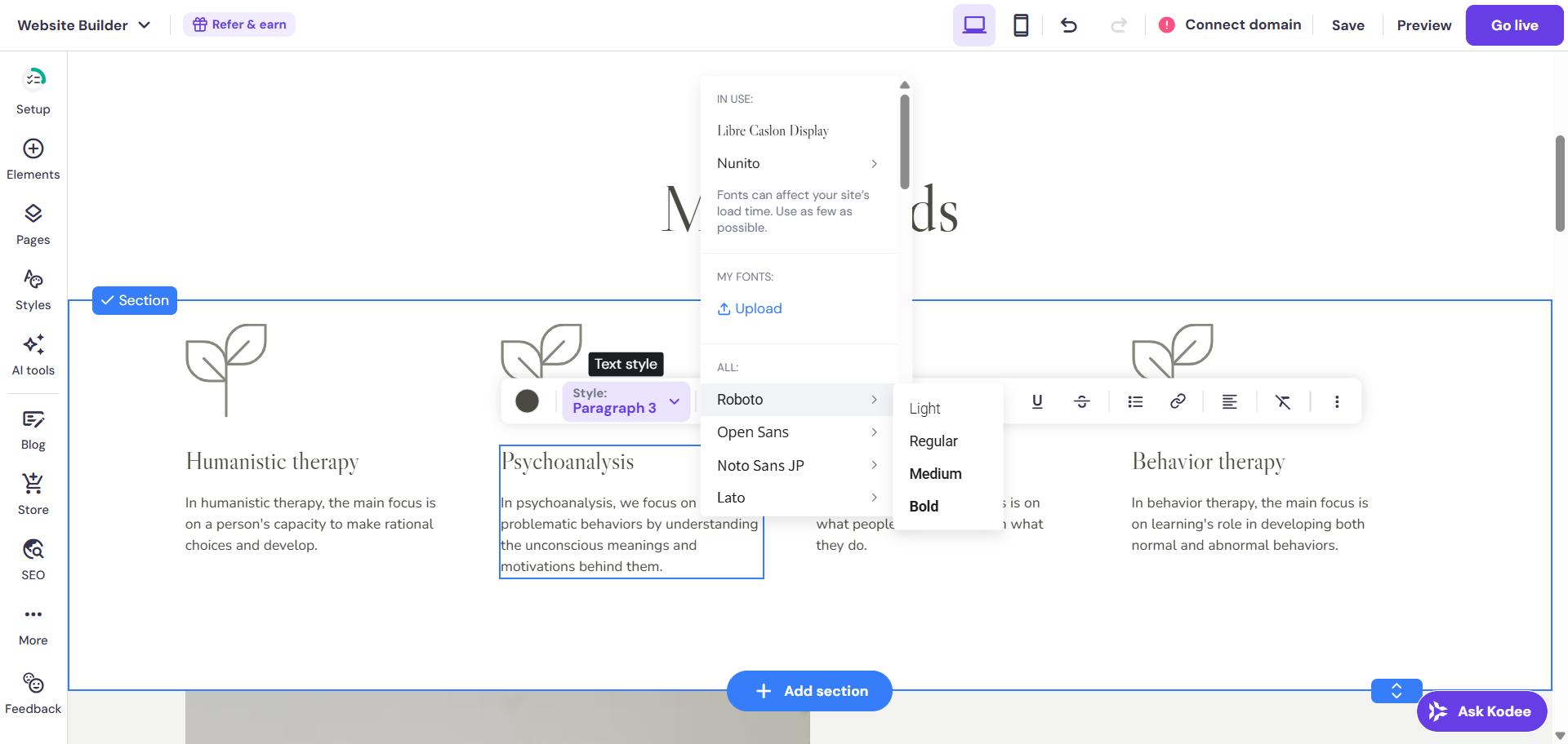 screenshot of Hostigner text editor