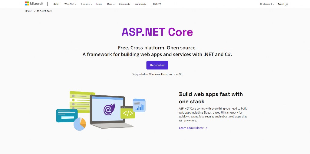 ASP.NET website.