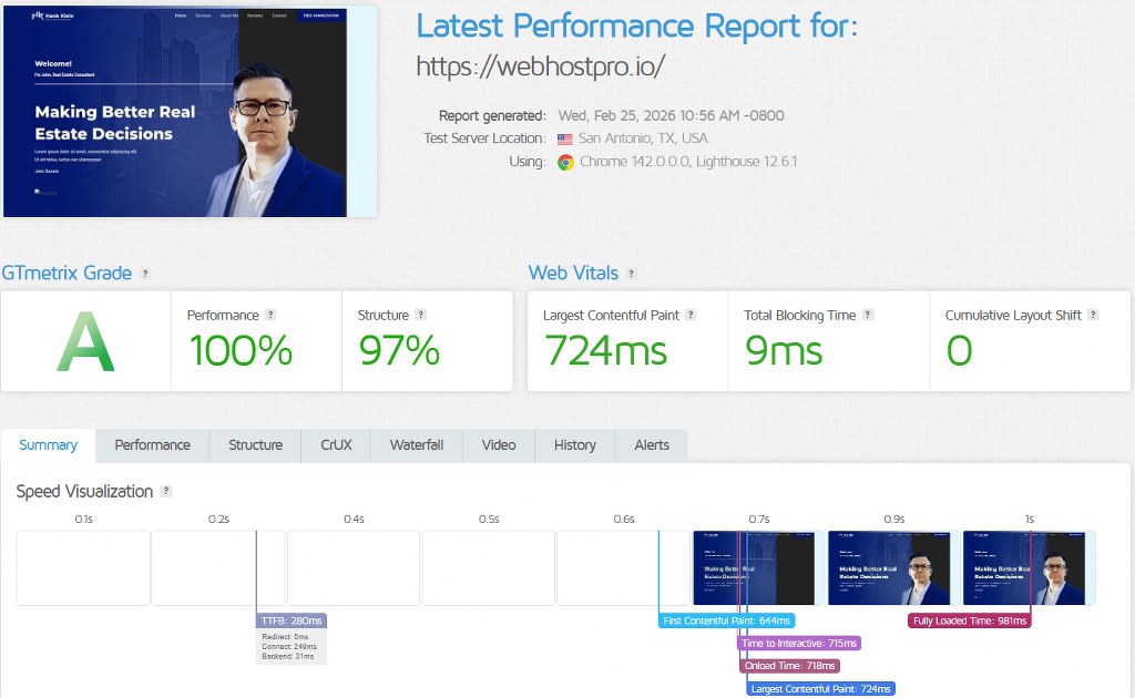 GTmetrix performance report showing 100 percent score and fast load time
