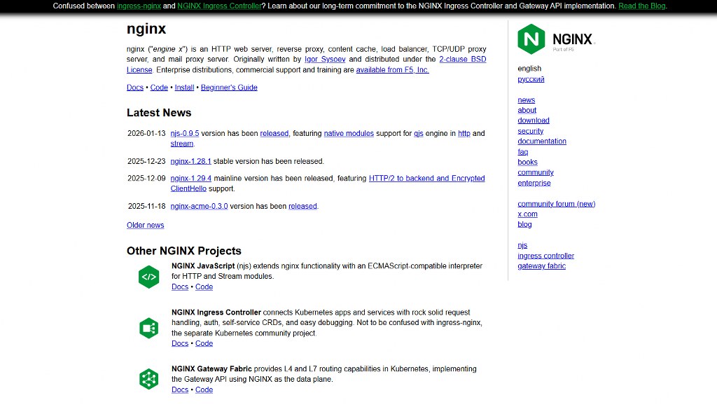 Nginx website.