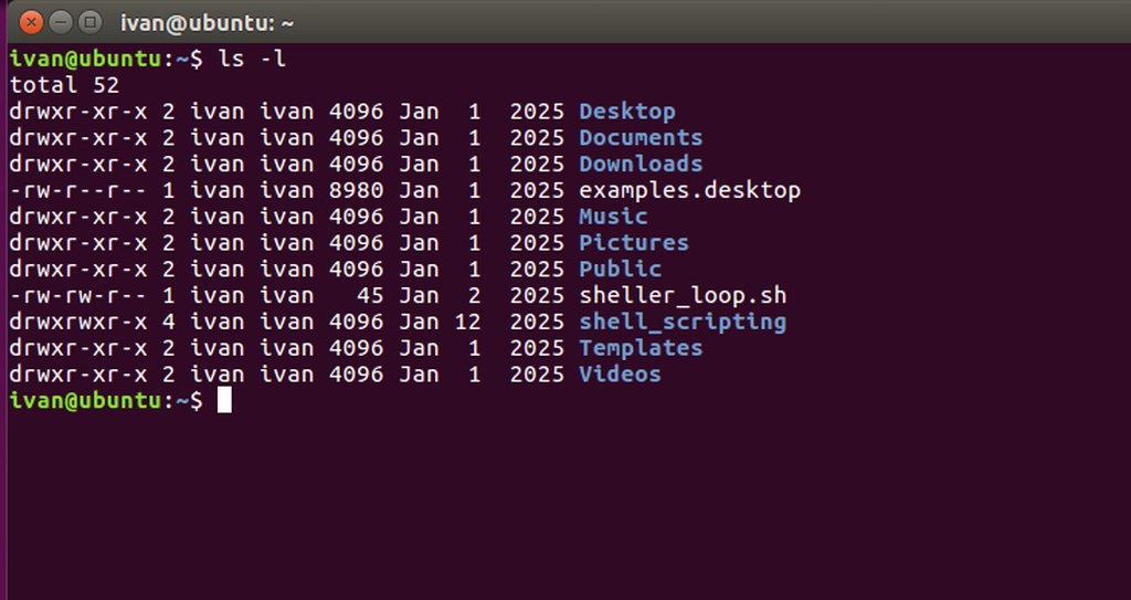 The ls -l command in Linux.