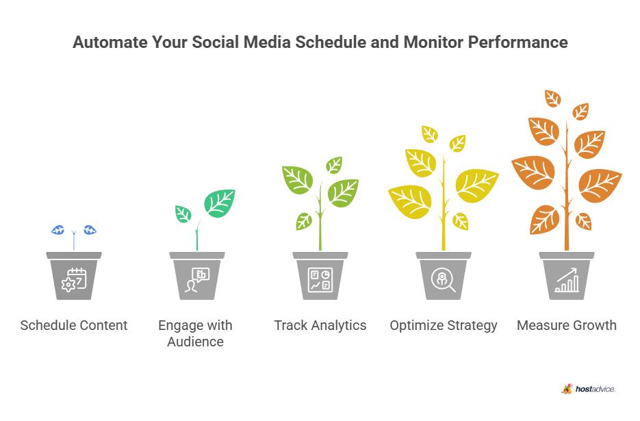 Automate Your Social Media Schedule and Monitor Performance